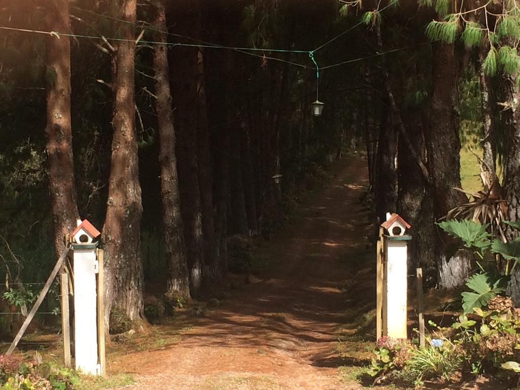 Pousada Sao Luiz - Monte Verde Otel Monte Verde  Dış mekan fotoğraf